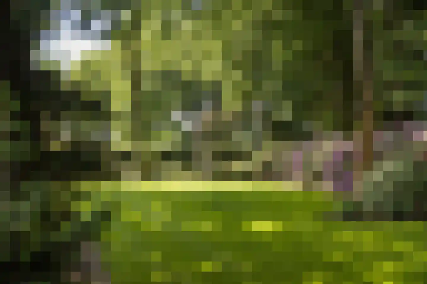 Molenesch 26 Delden thumbnail 56