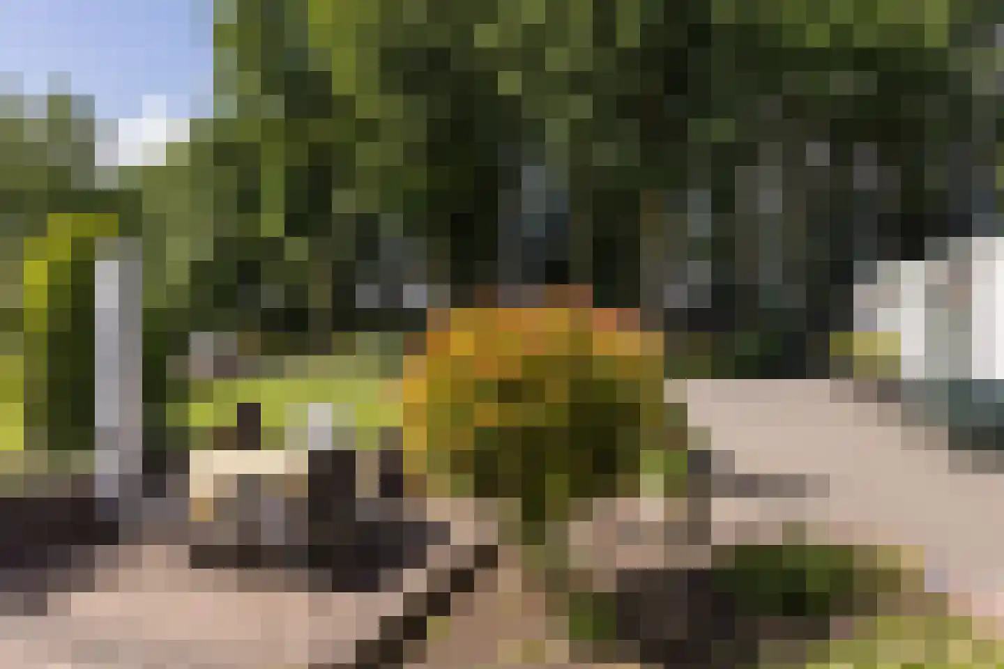 Molenesch 26 Delden thumbnail 57