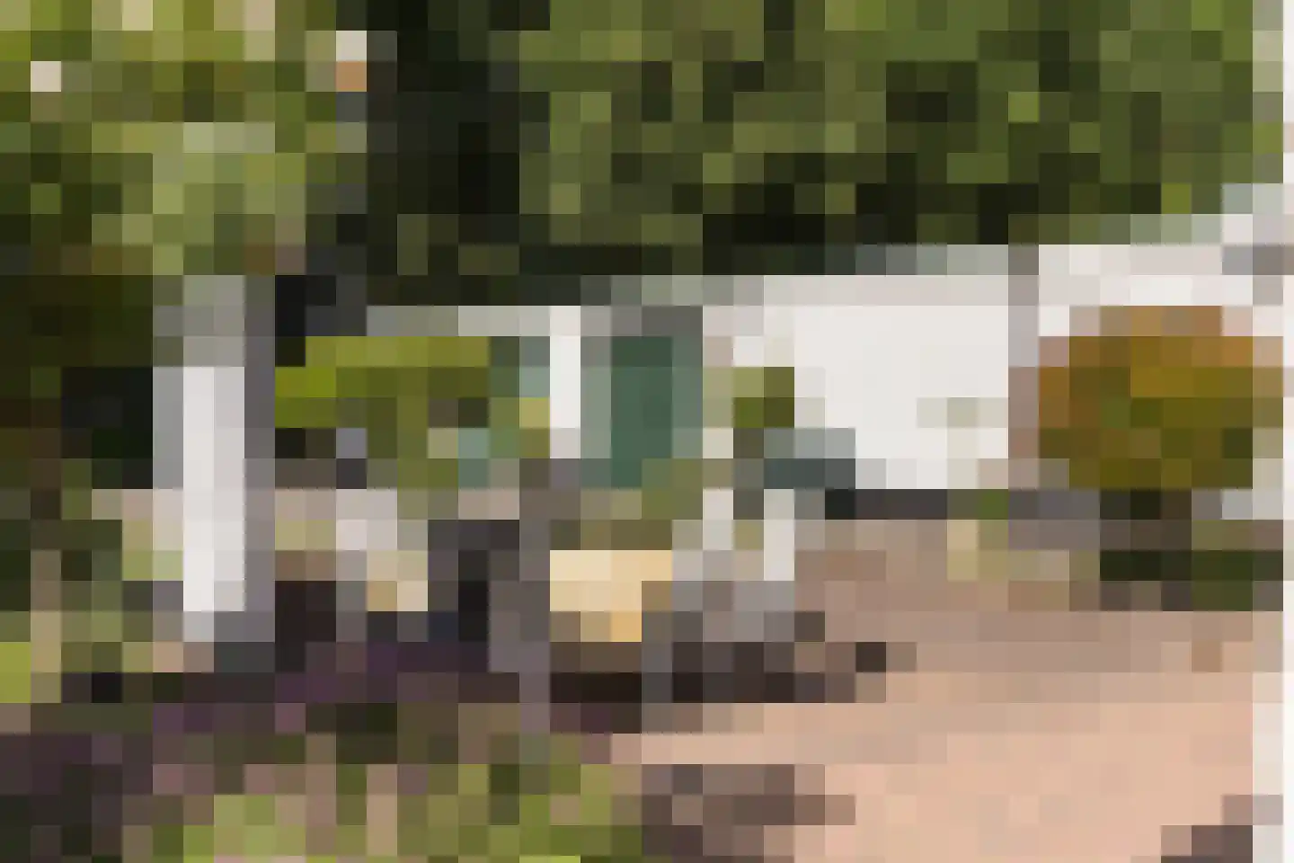 Molenesch 26 Delden thumbnail 58
