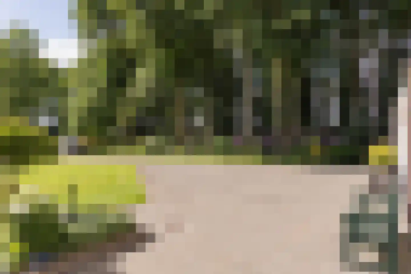 Molenesch 26 Delden thumbnail 59