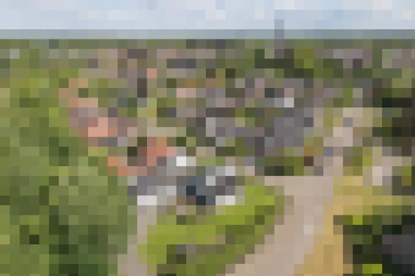 Molenesch 26 Delden thumbnail 62