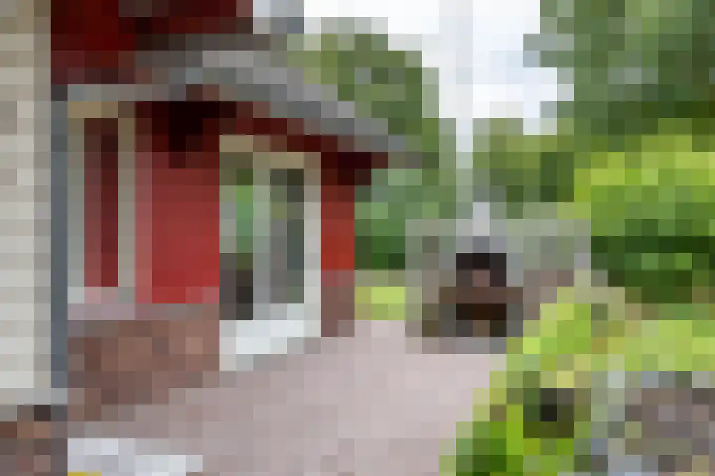Molenfenne 11 Warfstermolen thumbnail 13