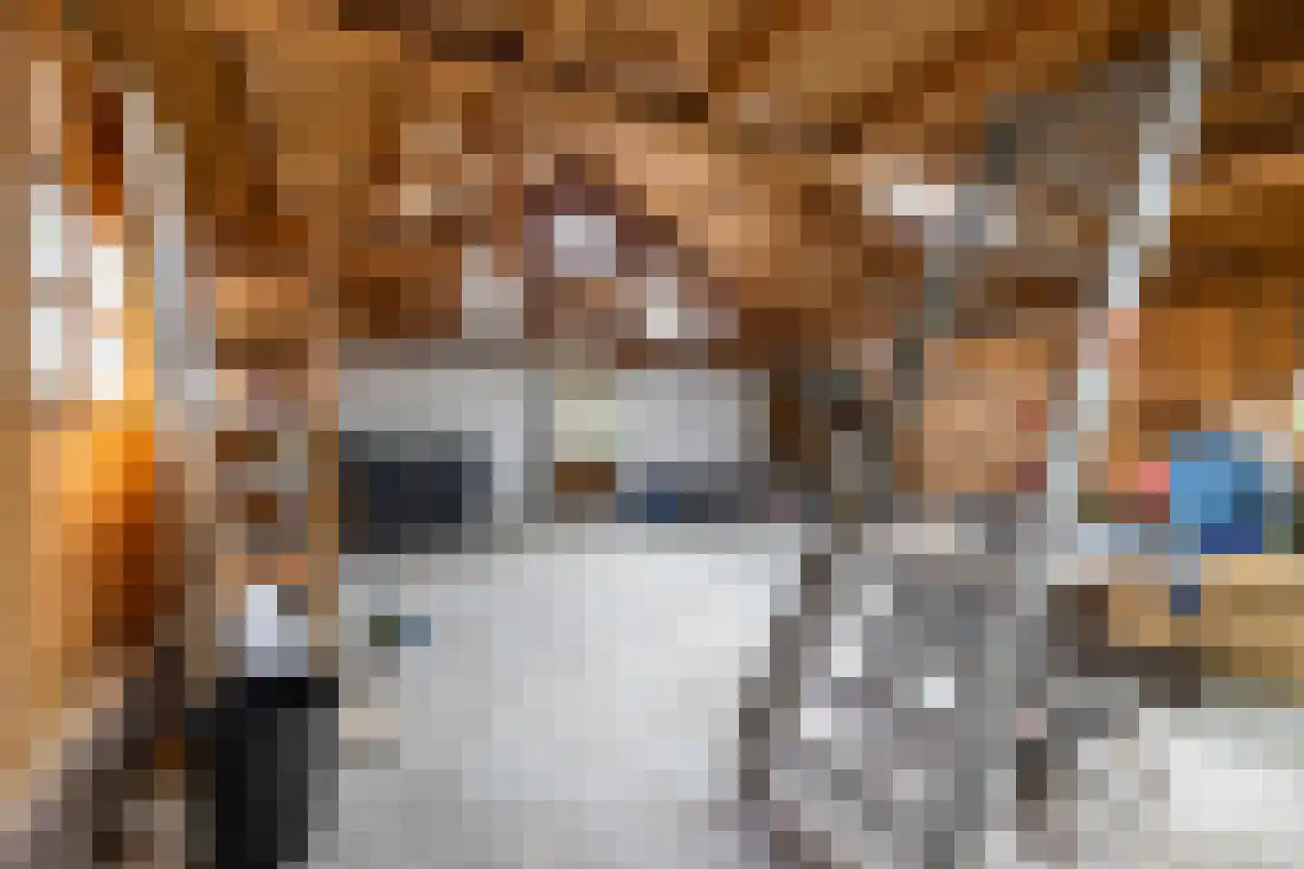 Molenfenne 11 Warfstermolen thumbnail 16