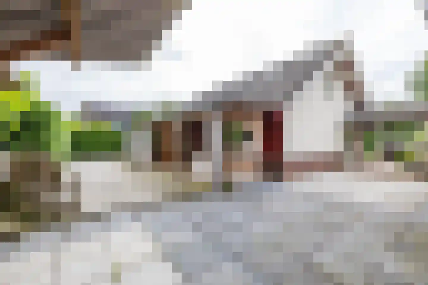 Molenfenne 11 Warfstermolen thumbnail 18