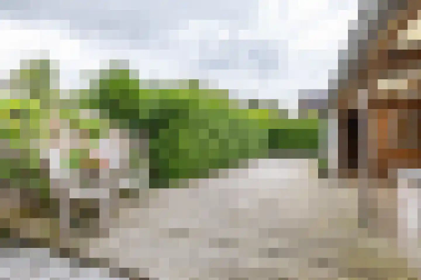 Molenfenne 11 Warfstermolen thumbnail 19