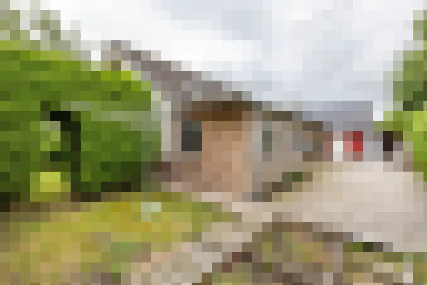 Molenfenne 11 Warfstermolen thumbnail 20