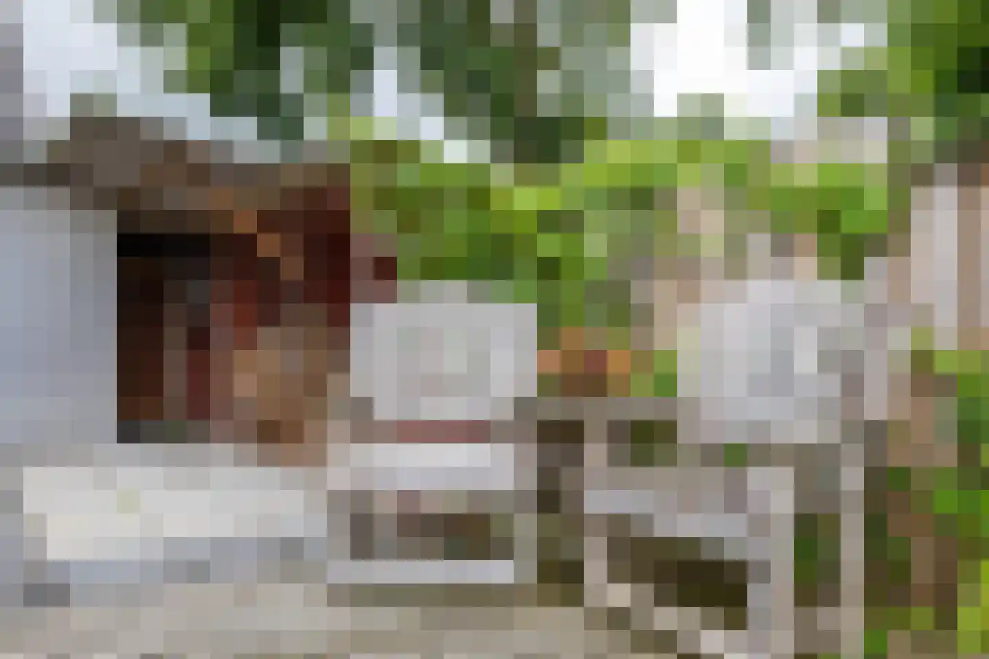 Molenfenne 11 Warfstermolen thumbnail 26