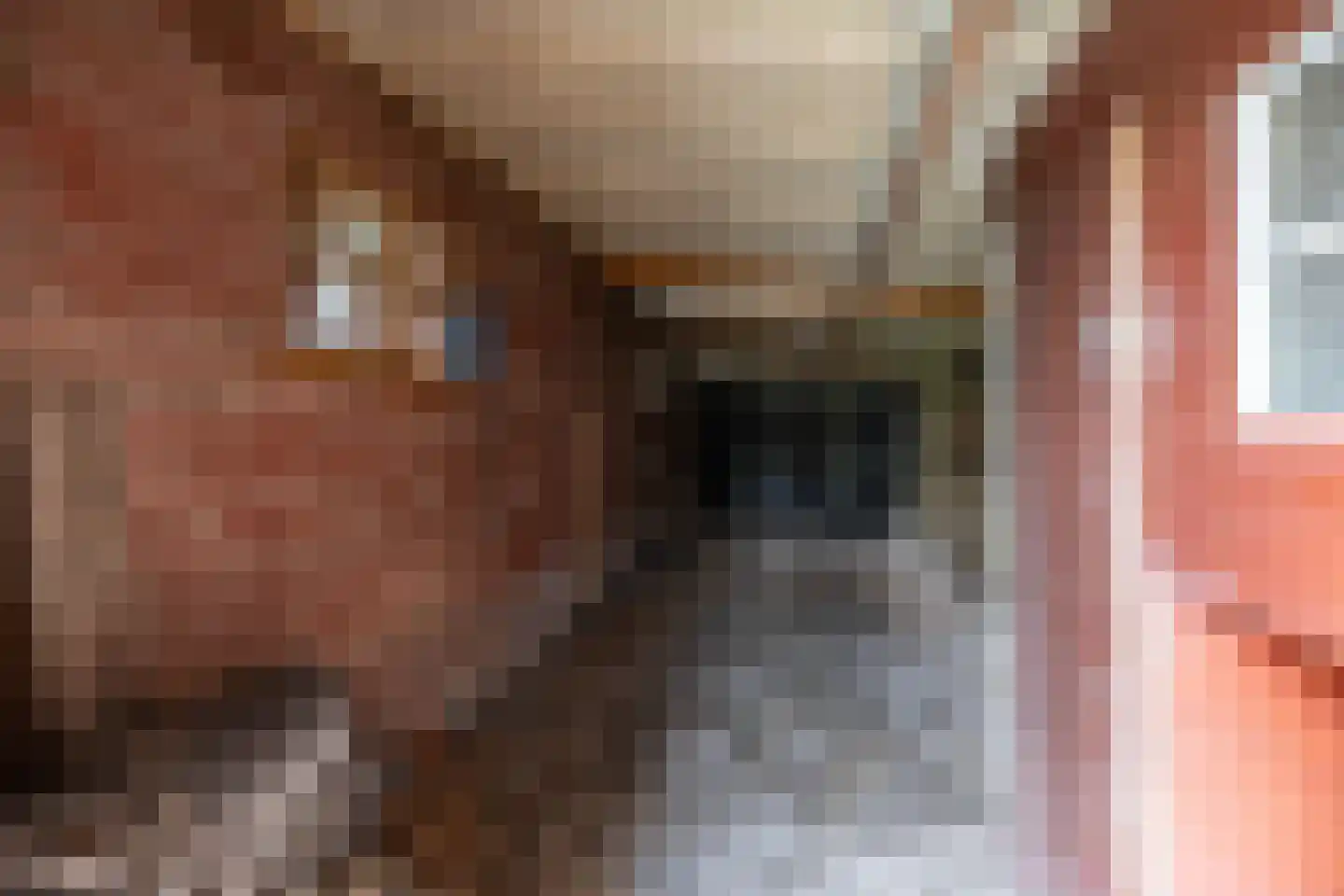 Molenfenne 11 Warfstermolen thumbnail 27
