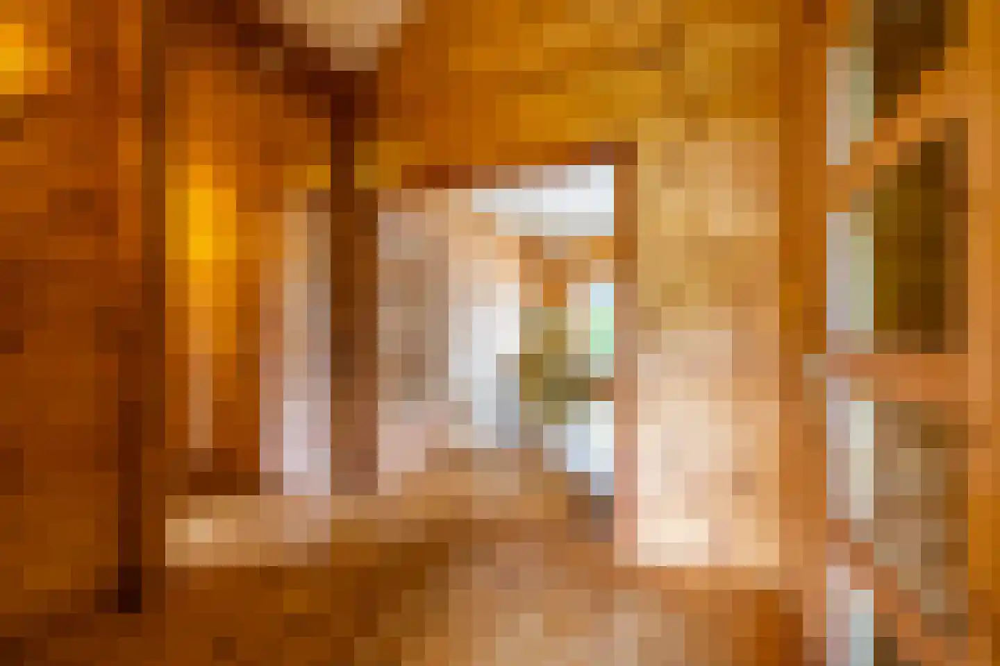 Molenfenne 11 Warfstermolen thumbnail 31