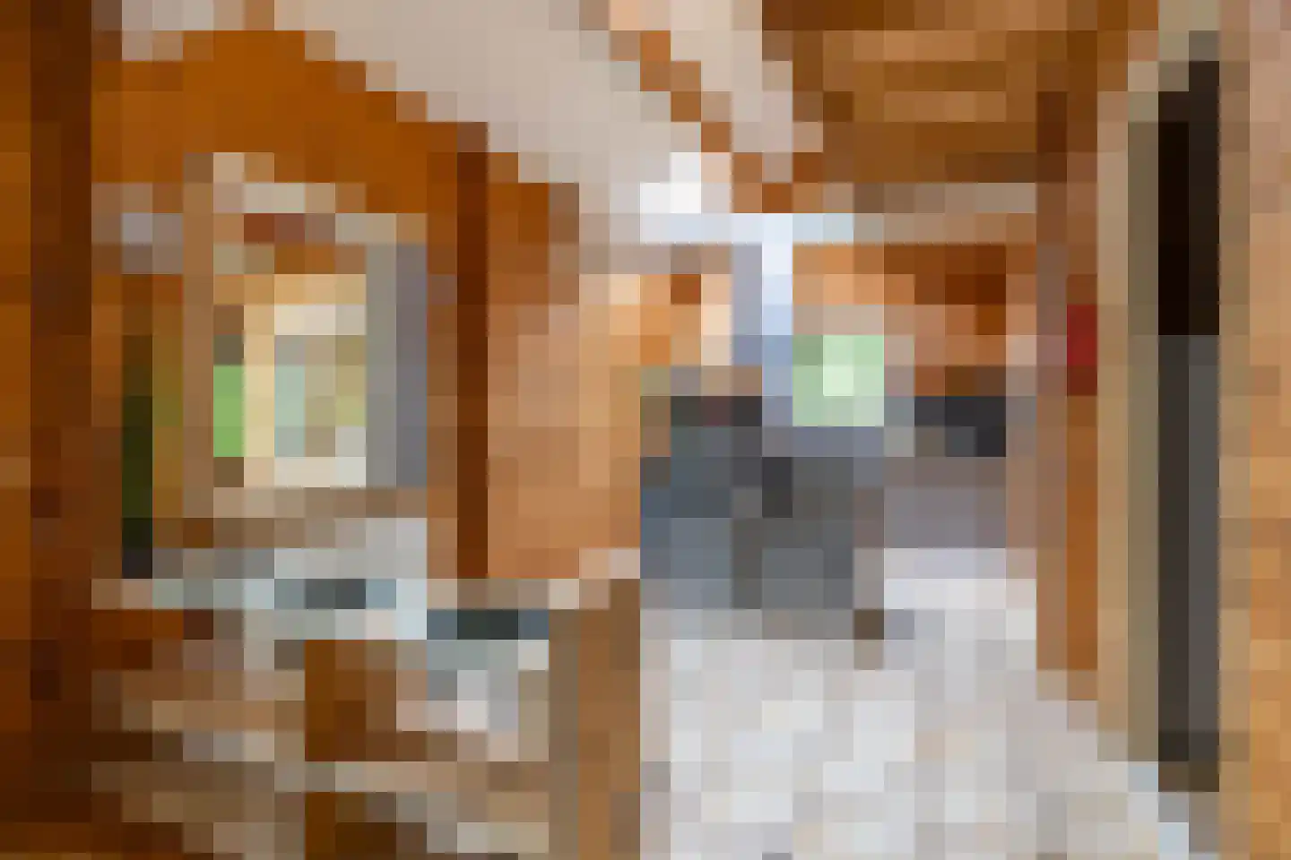 Molenfenne 11 Warfstermolen thumbnail 42