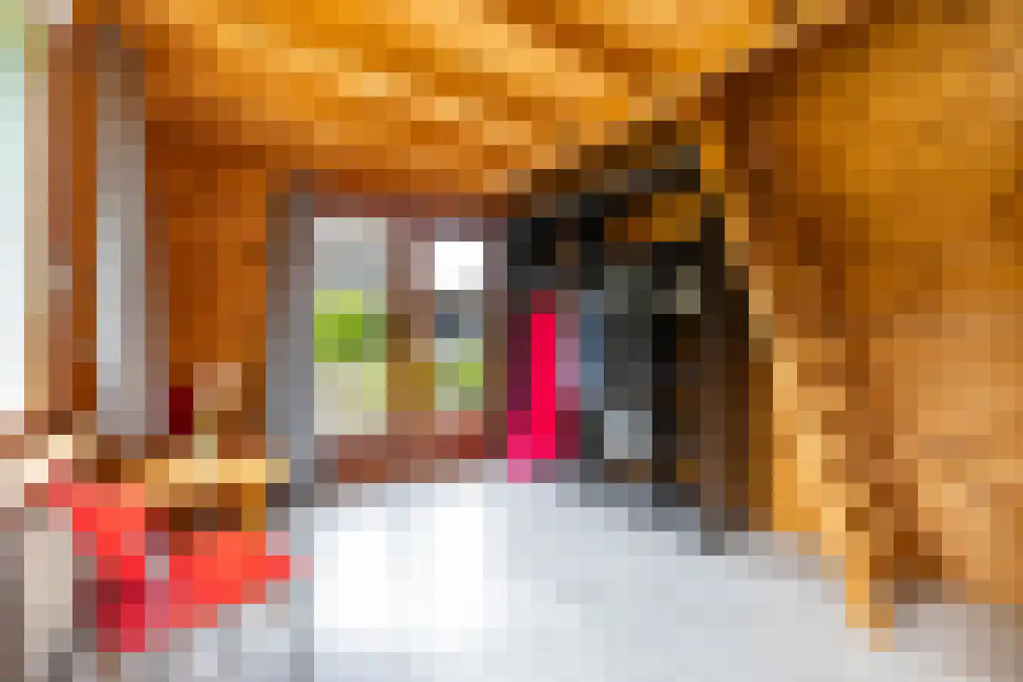 Molenfenne 11 Warfstermolen thumbnail 57