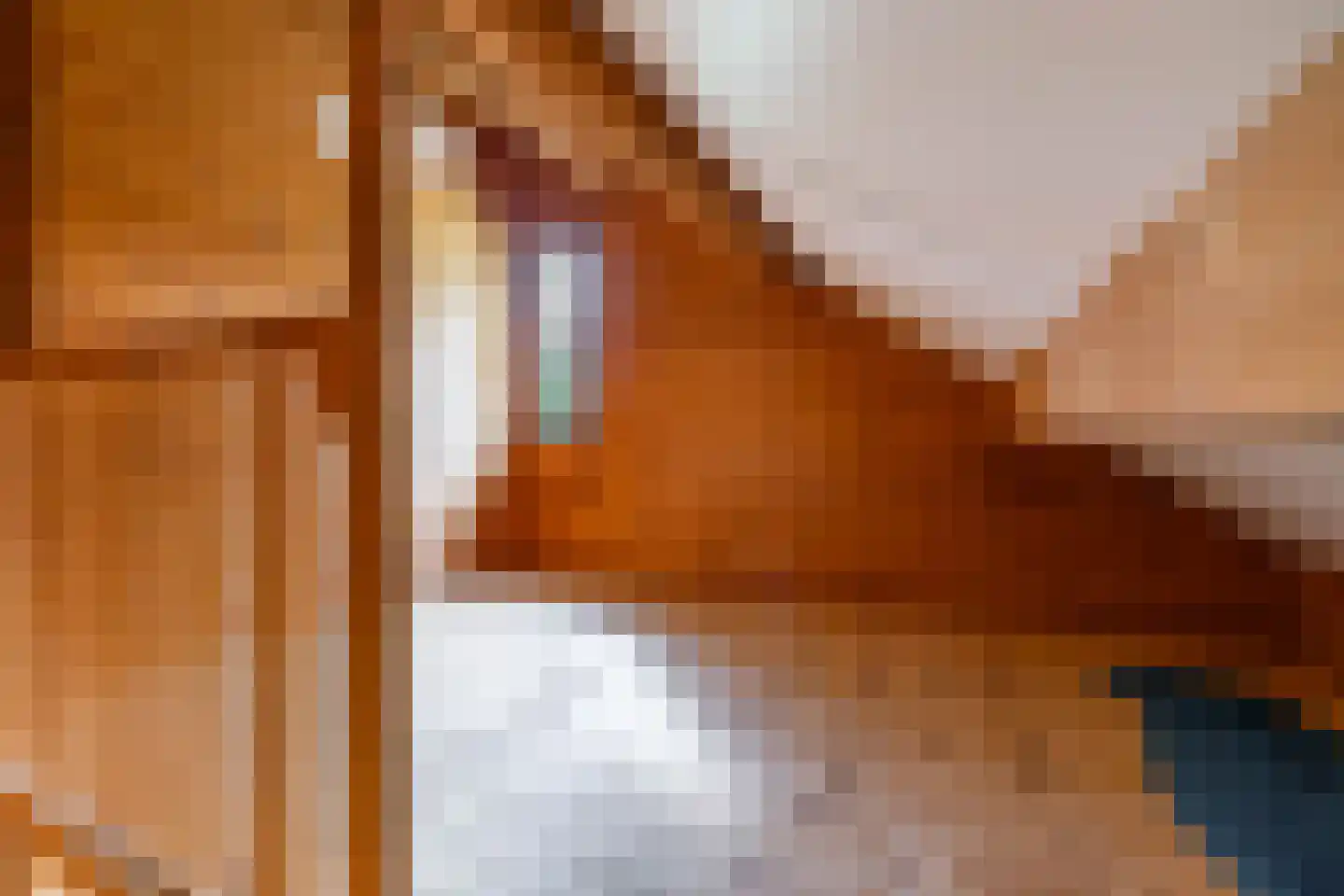 Molenfenne 11 Warfstermolen thumbnail 58