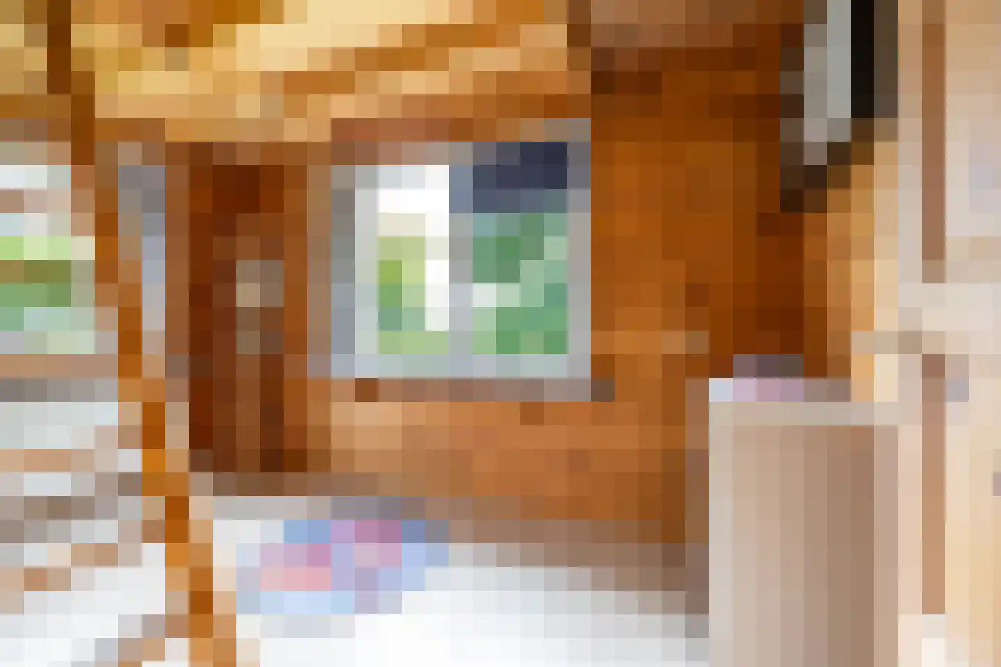 Molenfenne 11 Warfstermolen thumbnail 62
