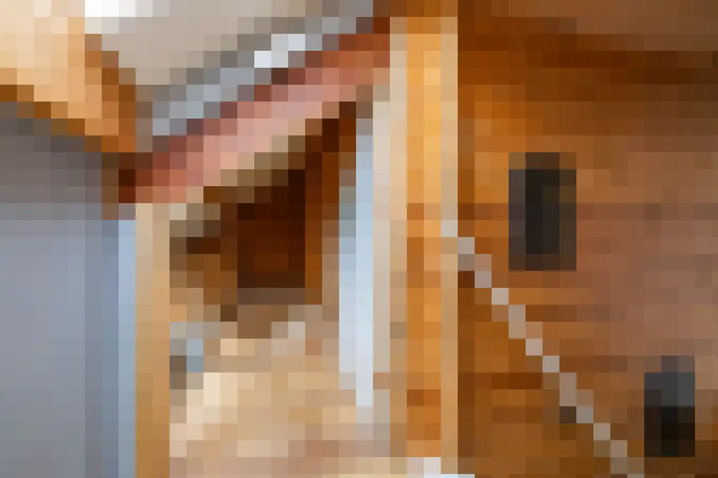 Molenfenne 11 Warfstermolen thumbnail 69