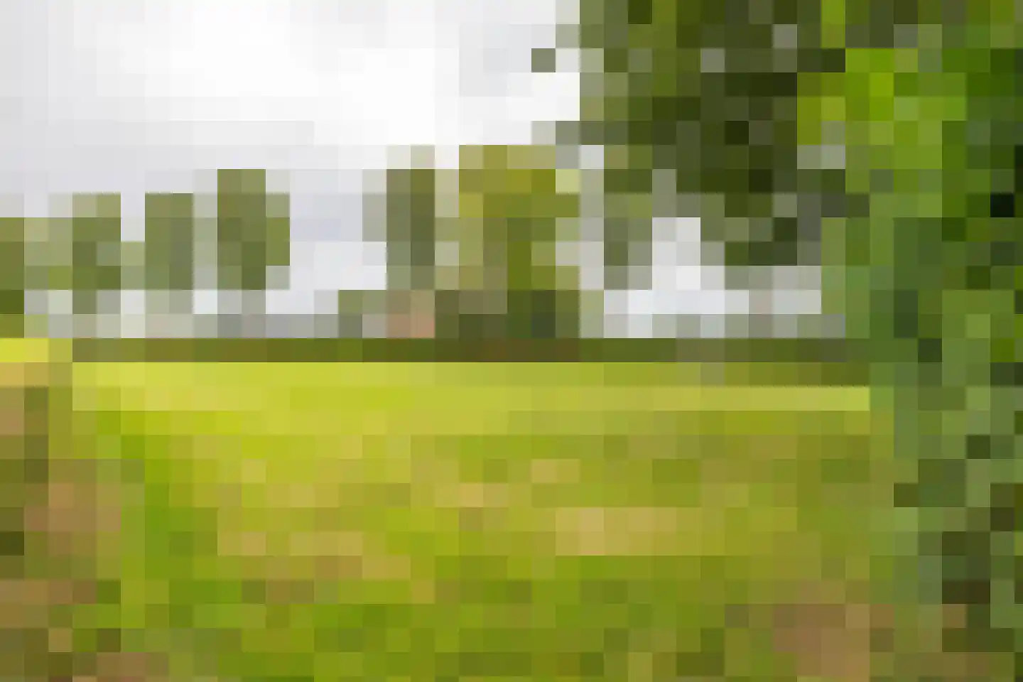 Molenfenne 11 Warfstermolen thumbnail 7