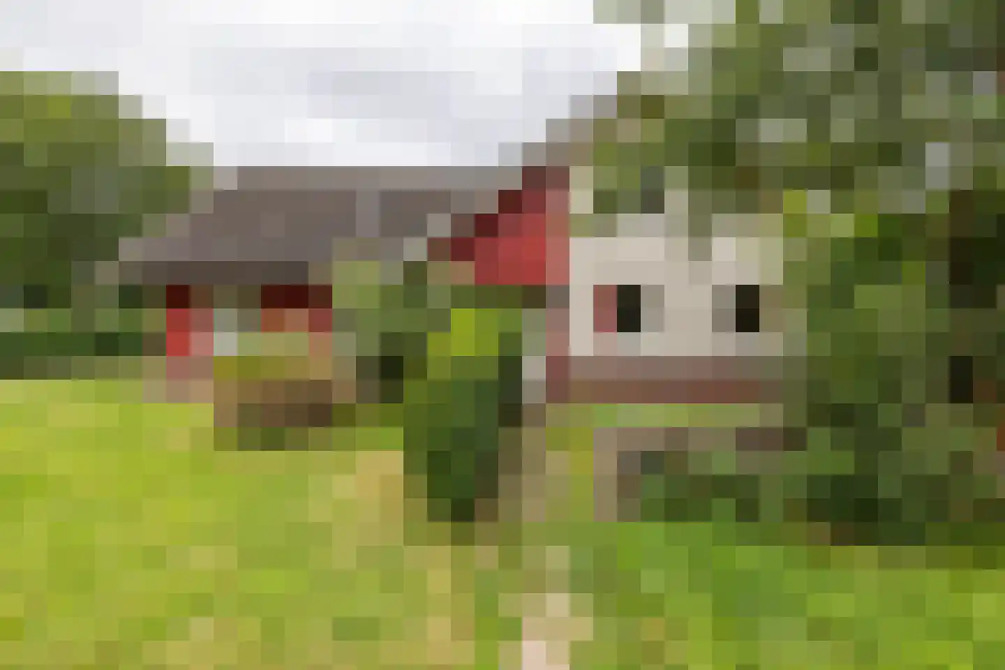 Molenfenne 11 Warfstermolen thumbnail 8