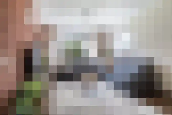 Molenfenne 5 Warfstermolen thumbnail 12