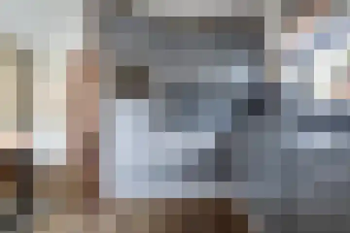 Molenfenne 5 Warfstermolen thumbnail 18