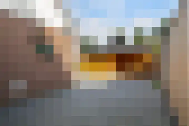 Molenfenne 5 Warfstermolen thumbnail 19