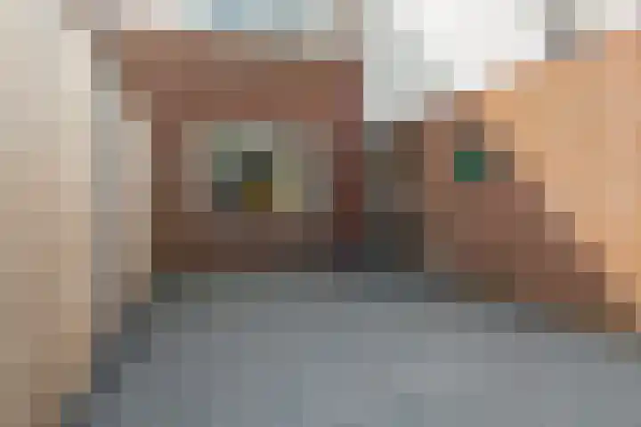Molenfenne 5 Warfstermolen thumbnail 20