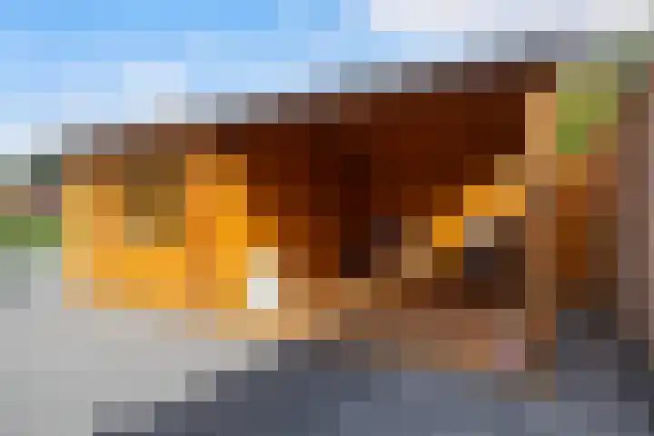 Molenfenne 5 Warfstermolen thumbnail 21
