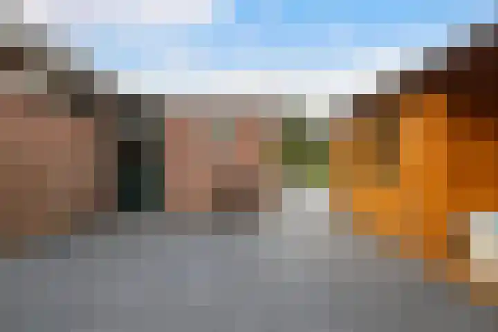 Molenfenne 5 Warfstermolen thumbnail 22