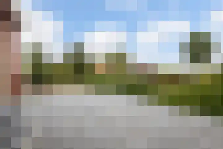 Molenfenne 5 Warfstermolen thumbnail 23