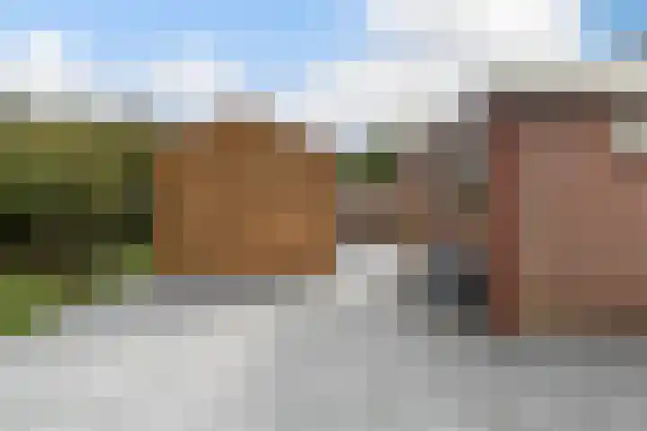 Molenfenne 5 Warfstermolen thumbnail 24