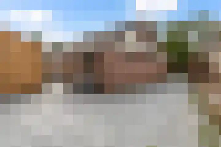 Molenfenne 5 Warfstermolen thumbnail 25