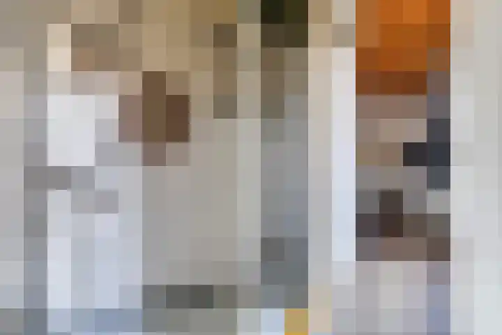 Molenfenne 5 Warfstermolen thumbnail 29