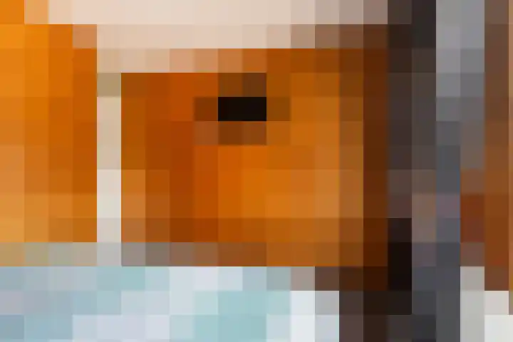 Molenfenne 5 Warfstermolen thumbnail 31