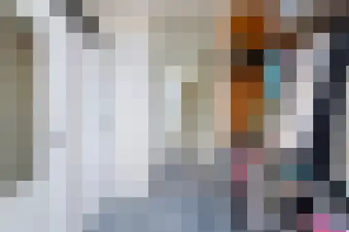 Molenfenne 5 Warfstermolen thumbnail 35