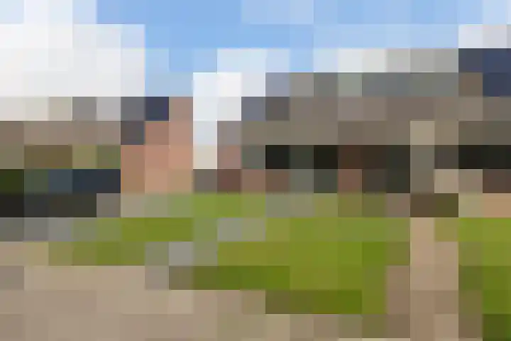 Molenfenne 5 Warfstermolen thumbnail 4