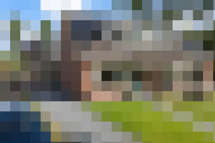Molenfenne 5 Warfstermolen thumbnail 41