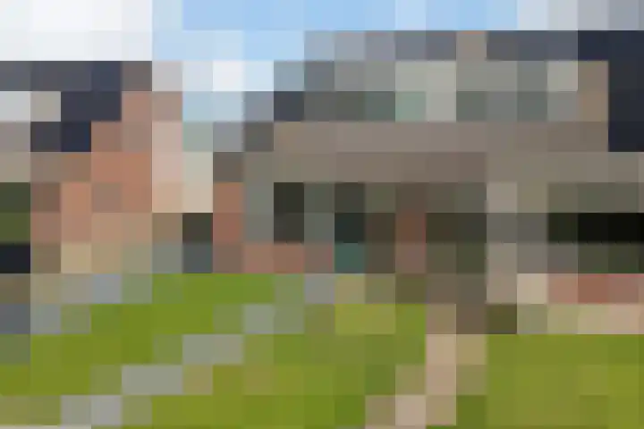 Molenfenne 5 Warfstermolen thumbnail 42