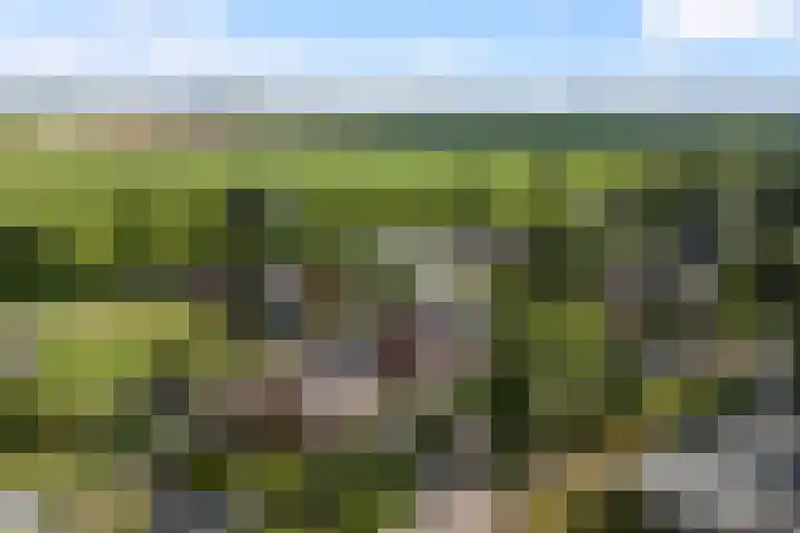 Molenfenne 5 Warfstermolen thumbnail 43