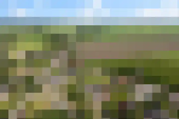 Molenfenne 5 Warfstermolen thumbnail 44