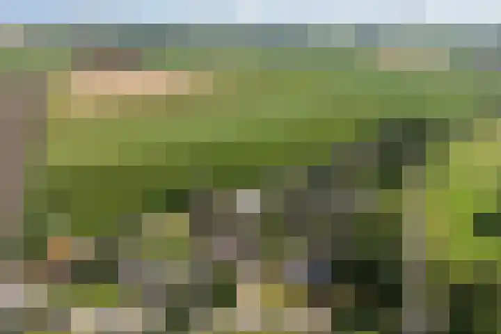 Molenfenne 5 Warfstermolen thumbnail 45