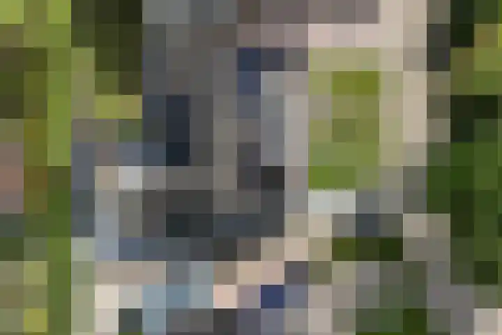 Molenfenne 5 Warfstermolen thumbnail 46