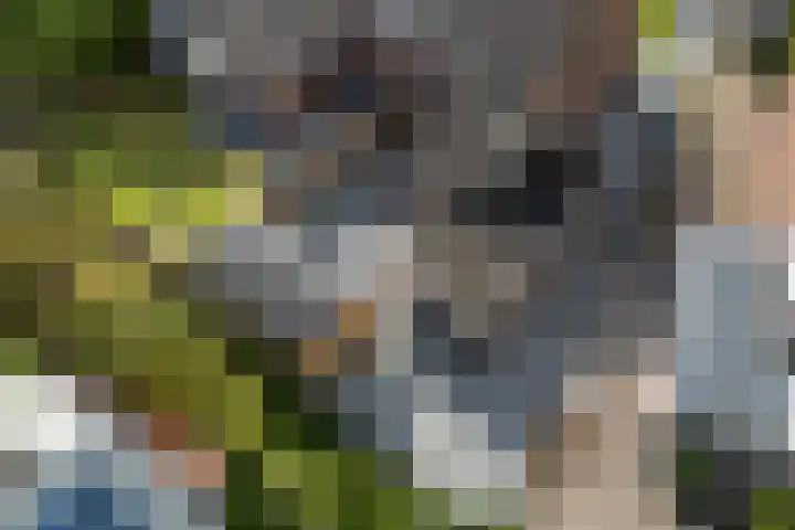Molenfenne 5 Warfstermolen thumbnail 47