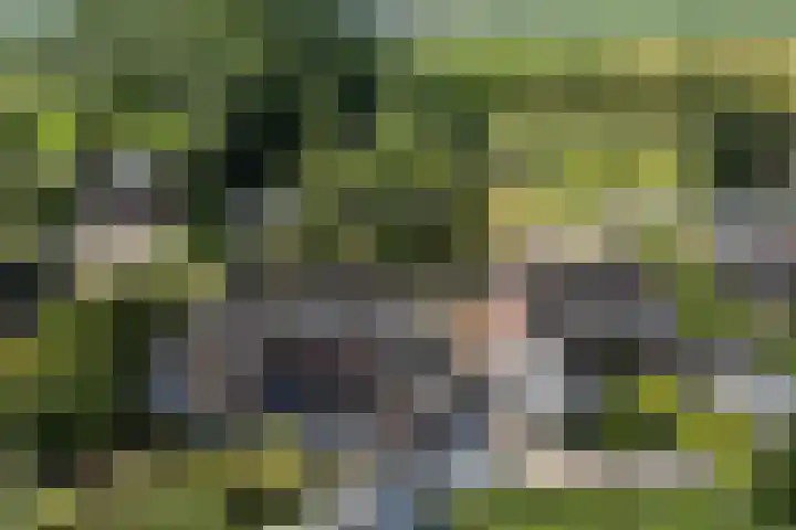 Molenfenne 5 Warfstermolen thumbnail 49