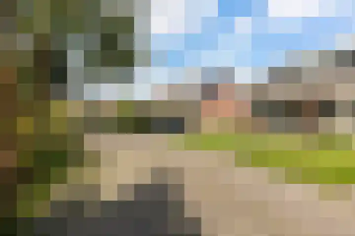 Molenfenne 5 Warfstermolen thumbnail 5