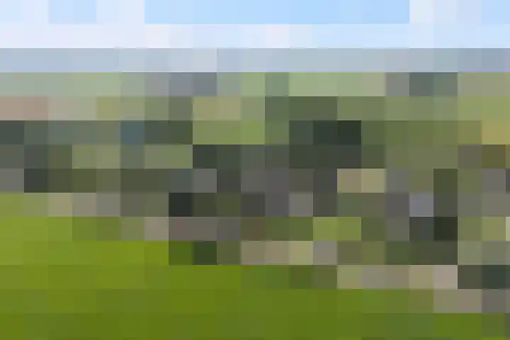 Molenfenne 5 Warfstermolen thumbnail 51