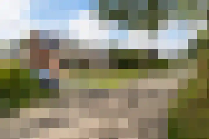 Molenfenne 5 Warfstermolen thumbnail 6