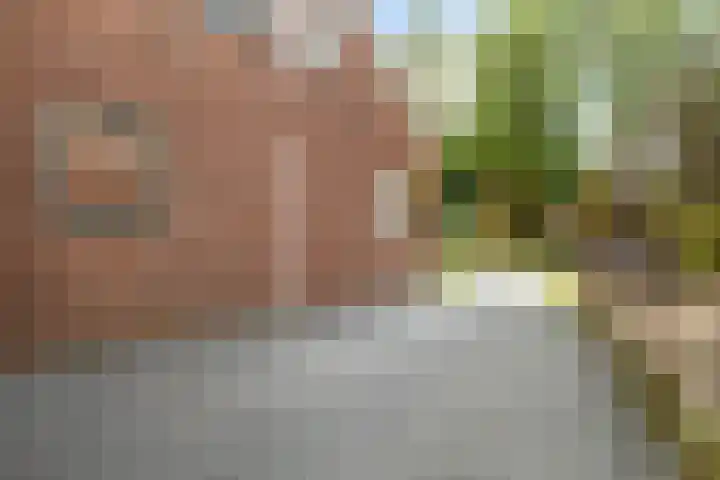 Molenfenne 5 Warfstermolen thumbnail 7