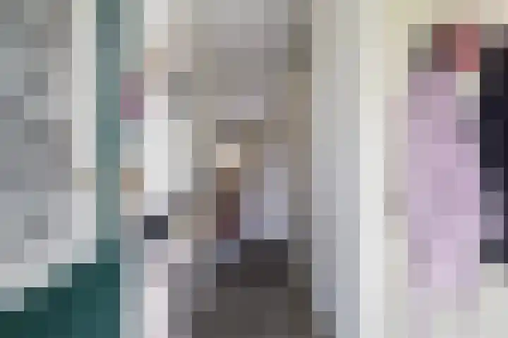Molenfenne 5 Warfstermolen thumbnail 9