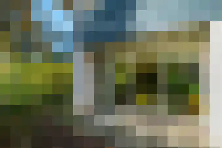 Molengaarde 28 Doesburg thumbnail 47