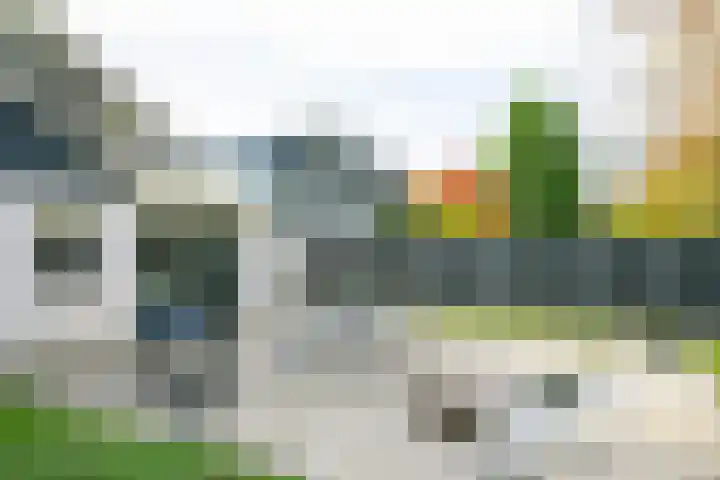 Molengaarde 28 Doesburg thumbnail 50