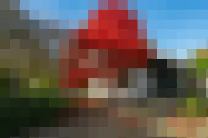 Molengaarde 28 Doesburg thumbnail 60