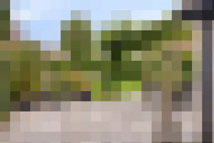 Molengaarde 85 Doesburg thumbnail 38